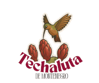 a logo for techaluta de montenegro with a hummingbird sitting on a cactus