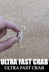 Crab Ultra Fast Crab GIF - Crab Ultra Fast Crab Fast GIFs