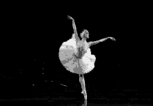 Classic Ballet GIF