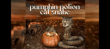 Pumpkin Potion Cat Snake Pumkin GIF
