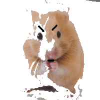 Hamster Meme Sticker