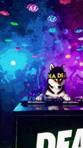 a dog wearing a headband that says dea dea sits at a turntable