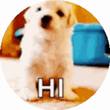 puppy dog wave hello cute
