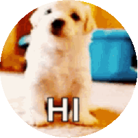 Puppy Dog Sticker - Puppy Dog Wave Stickers