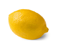 a single lemon on a white background with a black stem