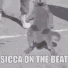 Sicca Sicca On The Beat GIF - Sicca Sicca On The Beat Siccamende GIFs