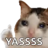 a pixelated image of a cat with the word yasss written on it