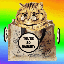 youre so naughty naughty girl naughty boy misbehaving naughty cat