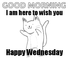 Happy Wednesday Dancing Cat GIF - Happy Wednesday Dancing Cat GIFs