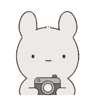 Taking Pictures Photography Sticker - Taking Pictures Photography Picture Stickers
