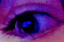 Purple Eye Fintris GIF
