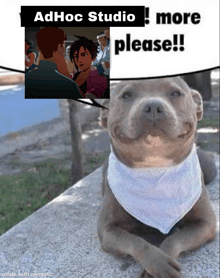 a dog wearing a bandana with a speech bubble above it that says ad hoc studio more please