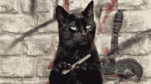 Apathetic Cats GIF - Apathetic Cats Nail File GIFs