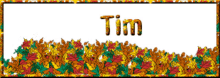tim tim name autumn tigger name