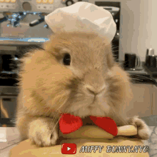 cooking bunny