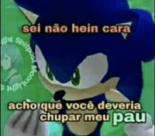 a cartoon of sonic the hedgehog with a caption .