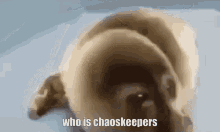 Chaos Chaoskeepers GIF - Chaos Chaoskeepers Bridge GIFs