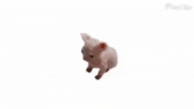 a blurred image of a cat dancing with the words `` feliz mes mi tonota '' in the background .