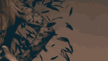 a woman 's arm is covered in feathers and a brown background