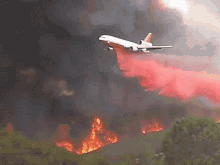 This Is How To Extinguish An Advancing Bush Fire Airplane GIF - This Is How To Extinguish An Advancing Bush Fire Airplane Phos Chek GIFs