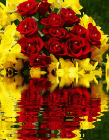Tellow Red Rose Rose Water GIF - Tellow Red Rose Rose Water GIFs