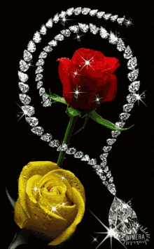 sparkle roses