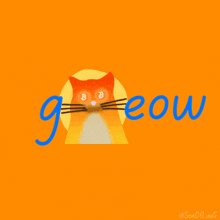Gmeow Quantum Cat GIF
