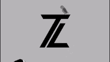 Tz Teamzigoto GIF - Tz Teamzigoto Zigoto GIFs