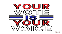 a poster that says your vote is your voice on it