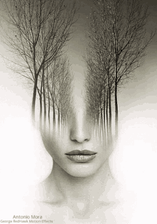 Trees Trippy GIF - Trees Trippy Face GIFs