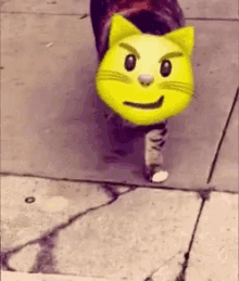 Cat Face Emoji GIF - Cat Face Emoji GIFs