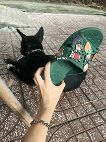 a person is holding a green shoe with a cartoon character on it and a dog laying in the background