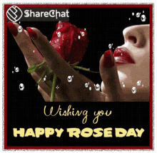Wishing You A Happy Rose Day गुलाब GIF - Wishing You A Happy Rose Day Rose Day गुलाब GIFs