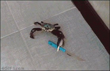 A gif of actual footage of a real crab holding a knife in its pincers.