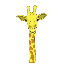 dancing giraffe