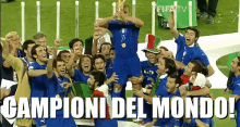 Campioni Campione Vittoria Ho Vinto Vincere Mondiali Italia 2006 Fabio Cannavaro GIF