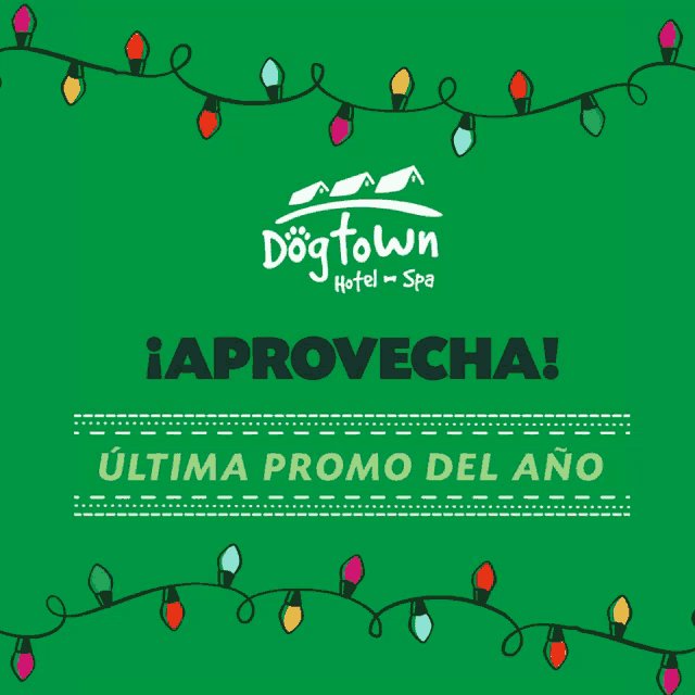 Dogtown hotel hot sale & spa