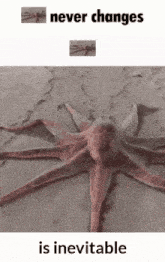 War Never Changes Octopus Never Changes GIF