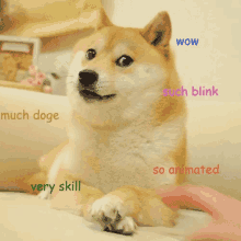 Much Doge GIF - Meme Doge Much Doge GIFs