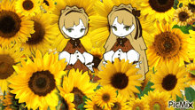 a picture of two dolls in a field of sunflowers has picmix written on the bottom