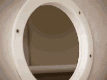 Hey There Cat GIF - Hey There Cat Window GIFs