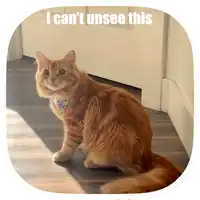 a cat is sitting in front of a door with the words i can 't unsee this above it