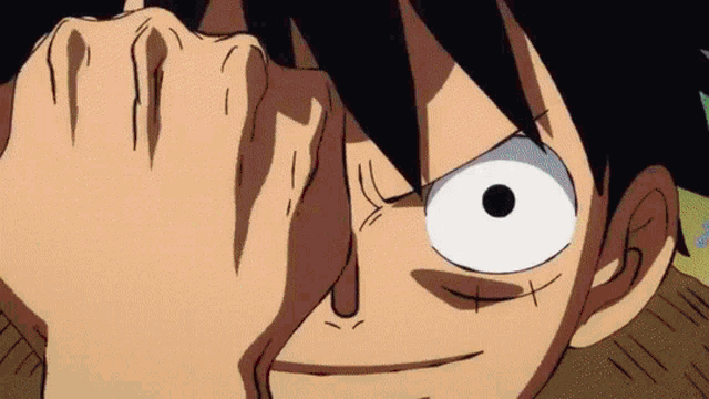 Onepiecekaido GIFs  Get the best GIF on GIPHY