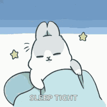 Nighty Goodnight GIF - Nighty Goodnight Sleep Tight GIFs