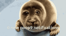 Poop9 Seal GIF - Poop9 Seal GIFs