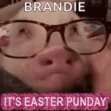 Easter Pig GIF