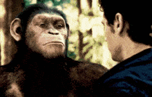a man and a chimpanzee are standing next to each other in the woods .