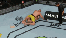 mma mixed martial arts ultimate fighting championship fight