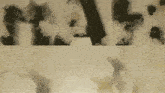 a black and white photo of a cloudy sky with the letter a visible