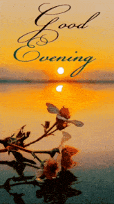 Good Evening Gif Sunset GIF - Good Evening Gif Sunset Alisa GIFs